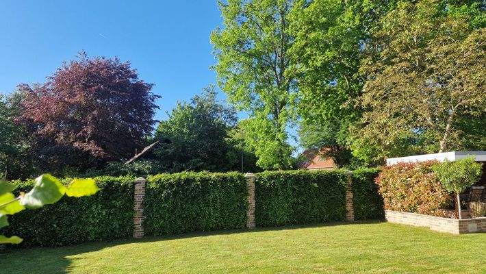 V1599 pflegeleichter Garten