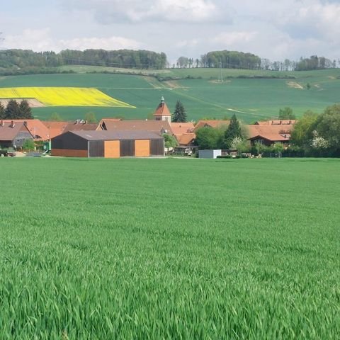 Bad Gandersheim Häuser, Bad Gandersheim Haus kaufen