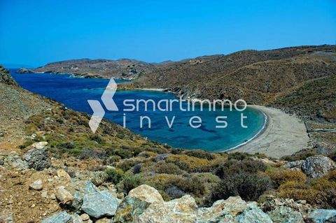Gavrio, Andros Bauernhöfe, Landwirtschaft, Gavrio, Andros Forstwirtschaft