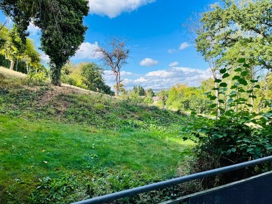 Blick vom Balkon ins Grüne