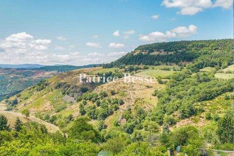 Florac Trois Rivières Häuser, Florac Trois Rivières Haus kaufen