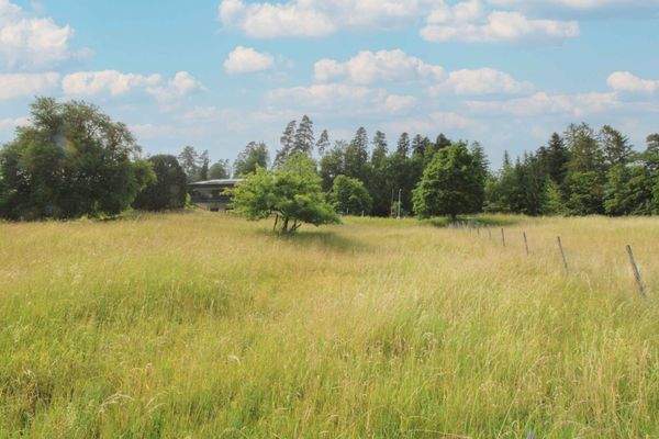 Grundstück von unten Bild 2