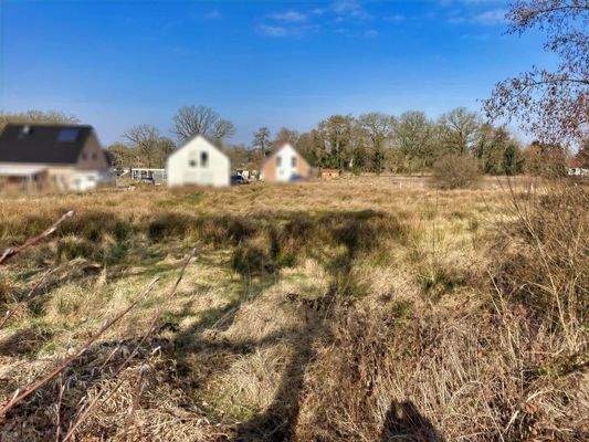 Blick zum ca. 7.155 m² großen Flurstück