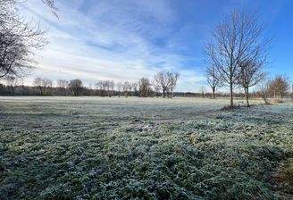 Umfeld_Am Blütenanger_Pferdekoppel