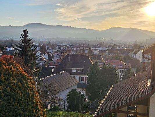 Panoramablick über Basel