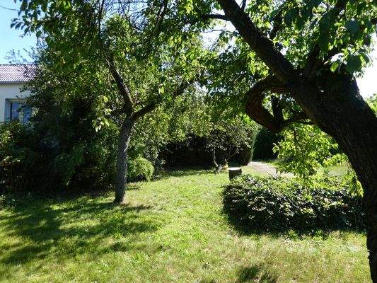 Weitere Grundstücksansicht