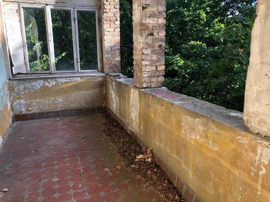 PHOTO-2026-02-19-21-35-44 3.jpg