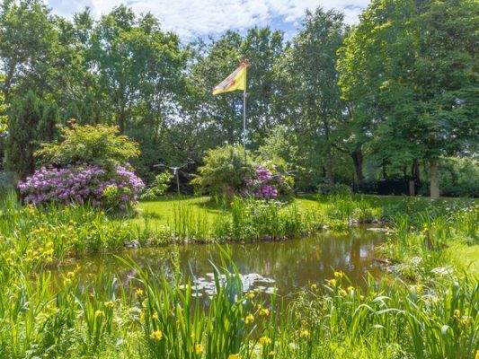Gartenteich