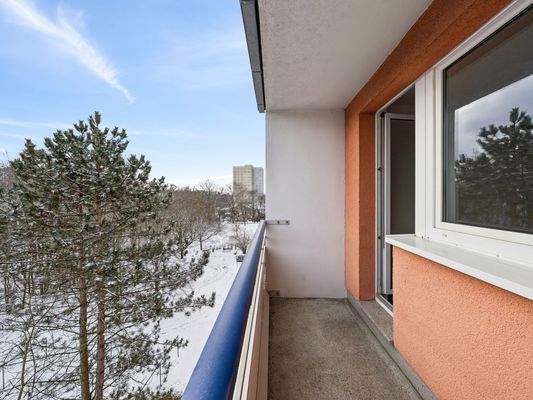 Südbalkon mit Weitblick