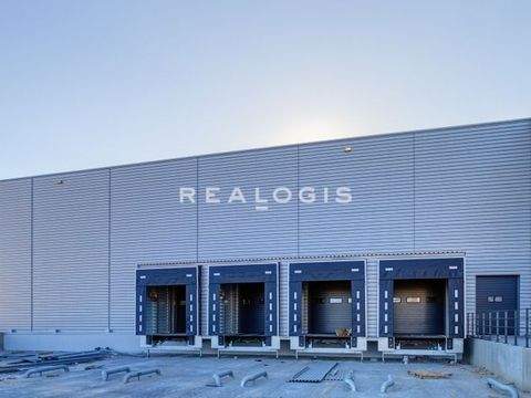 Berlin Halle, Berlin Hallenfläche