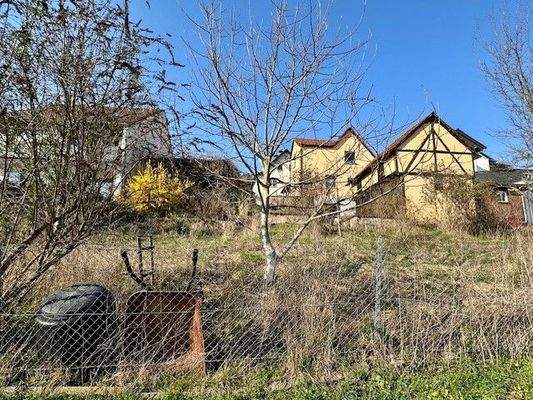 Garten - hier ist ihr Einsatz gefragt