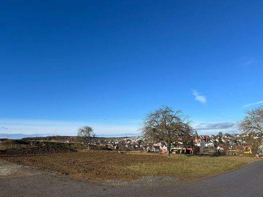 Blick auf das Baugrundstück