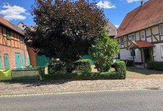 Straßenansicht vom Bauernhof.jpg