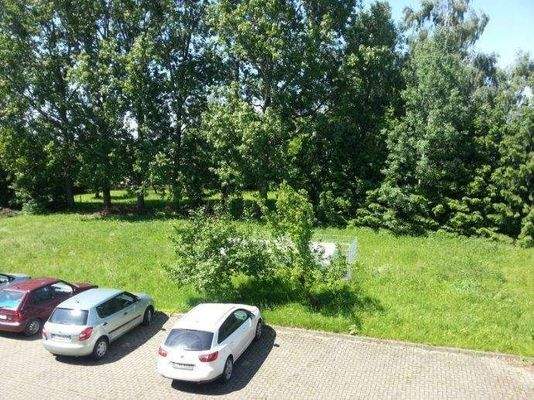 Stellplatz und Gartenfläche