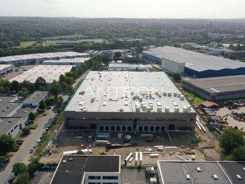 Ratingen Halle, Ratingen Hallenfläche