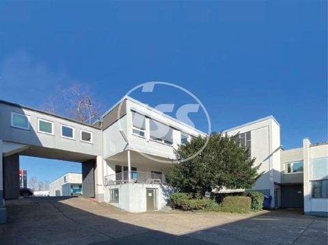 Köln Halle, Köln Hallenfläche