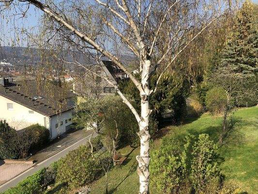 Ausblick Balkon Südwest