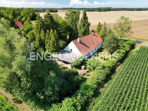 Süderholz Häuser, Süderholz Haus kaufen