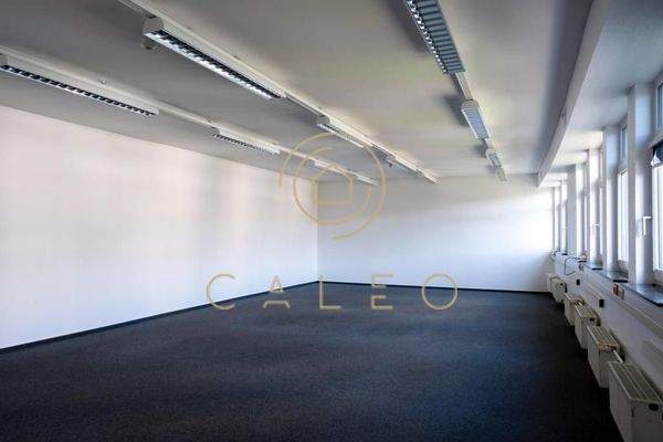 Innenansicht - Bürofläche 1