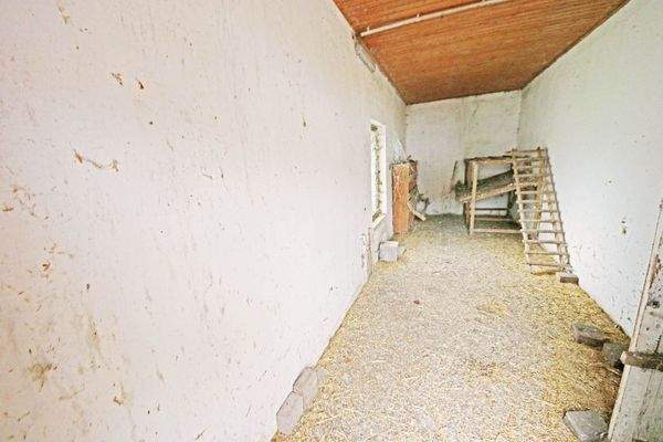 Hühnerstall im Nebengelass 1