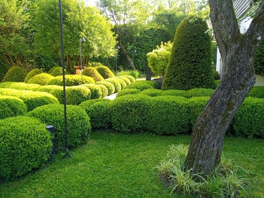Designgarten m. alten Bäumen