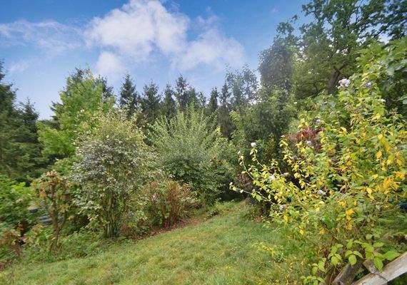 Teilansicht Grundstück...