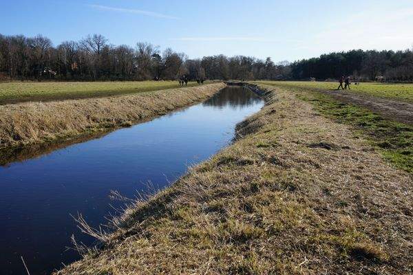 Naturschutzgebiet Neuenhagener Mühlenfließ 