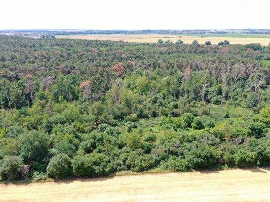 Luftaufnahme - Blick Richtung  Süden