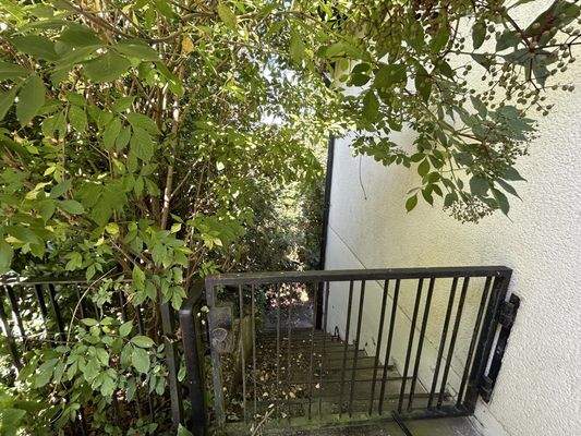 Zugang Sourterrainwohnung