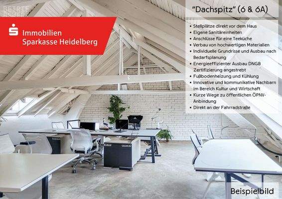 Dachspitz Bsp_Ausbau ME 6_6A