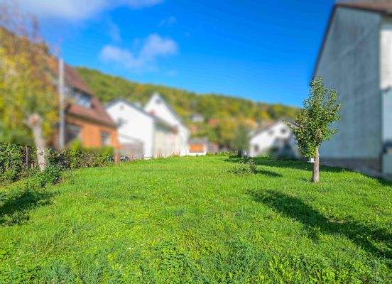 Grundstück_Langenprozelten (10)