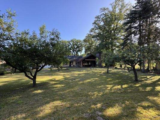 Ansicht vom Garten Richtung Terrasse