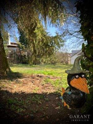 1-Blick-auf-das-Grundstueck