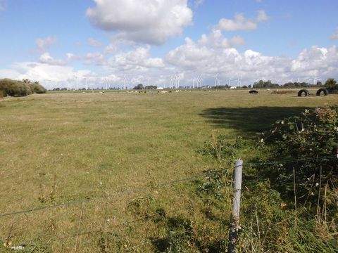 Friedrichskoog Grundstücke, Friedrichskoog Grundstück kaufen