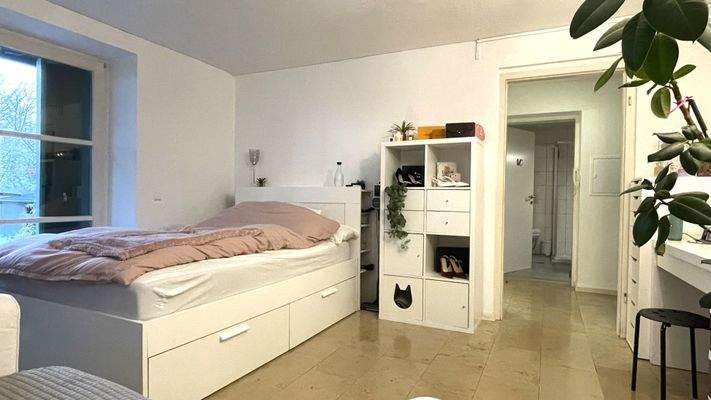 Wohn- und Schlafzimmer