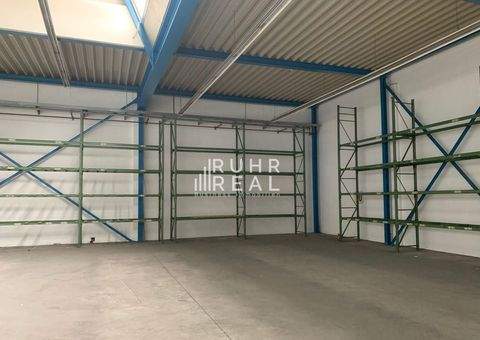 Köln Halle, Köln Hallenfläche