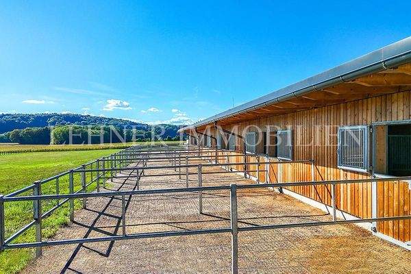 Lehner Immobilien Bild 76