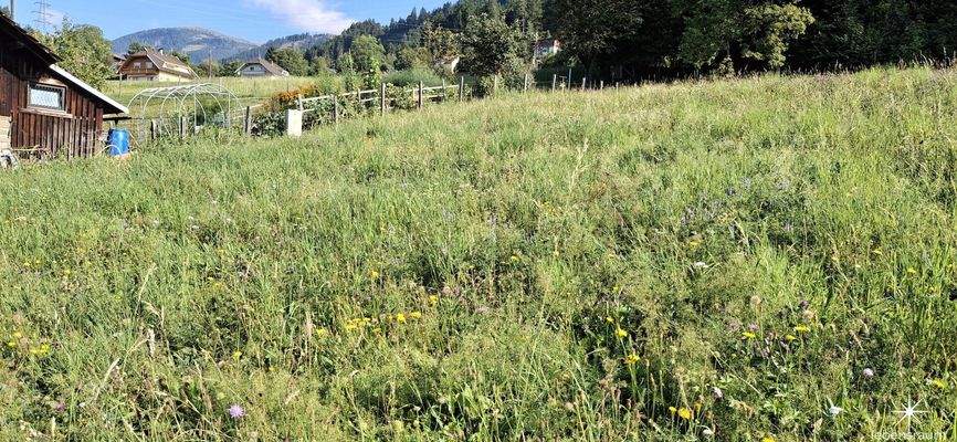 Blick Richtung Nordwesten