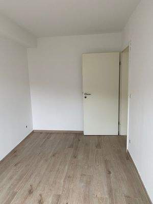 WhatsApp Image 2026-02-11 at 19.51.37