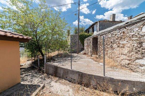 Papatsiaras-Theologos-Kekes 24-07-2024-7.jpg