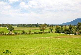 Bauernhof, Immobilien-Kurz-Salzburg