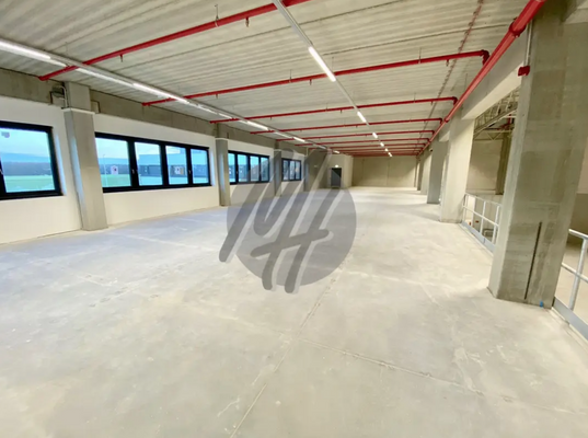 INFOS UNTER: 06171-586000