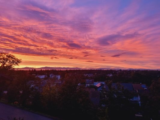 Sonnenuntergang über Neuenburg