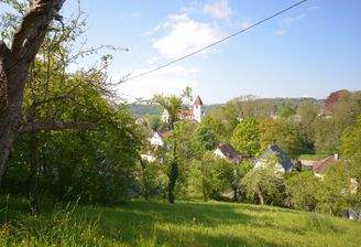 Blick vom Grundstück Richtung Oberesslingen
