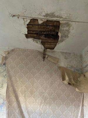 f3e6090a-9489-4cb1-af61-3aa21438418d