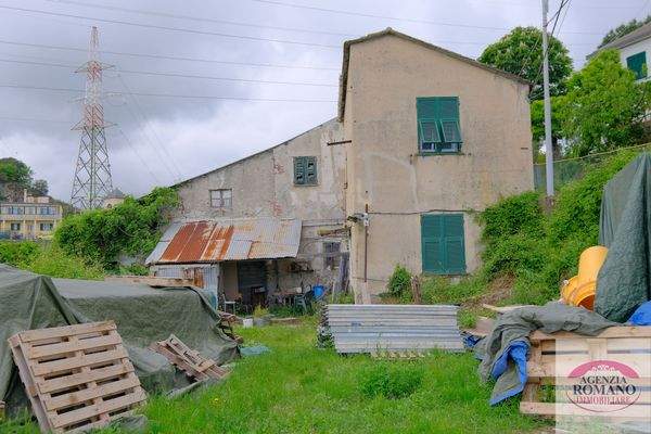 Rif 1462(Copy32).jpg