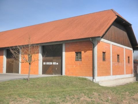 Hörsching Halle, Hörsching Hallenfläche