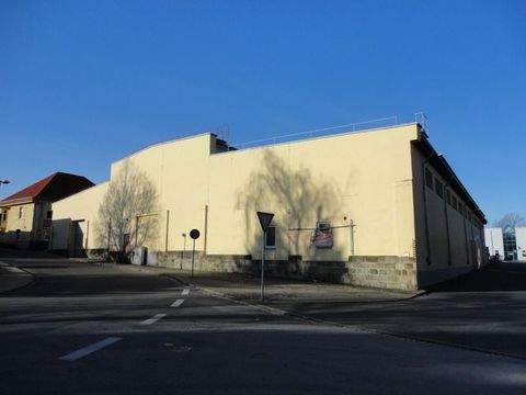 Bautzen Halle, Bautzen Hallenfläche