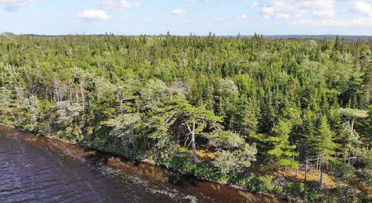 Cape Breton - Third Lake - Wunderschönes See-Uferg