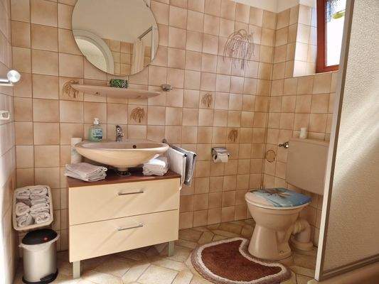 Tageslichtbad mit Dusche